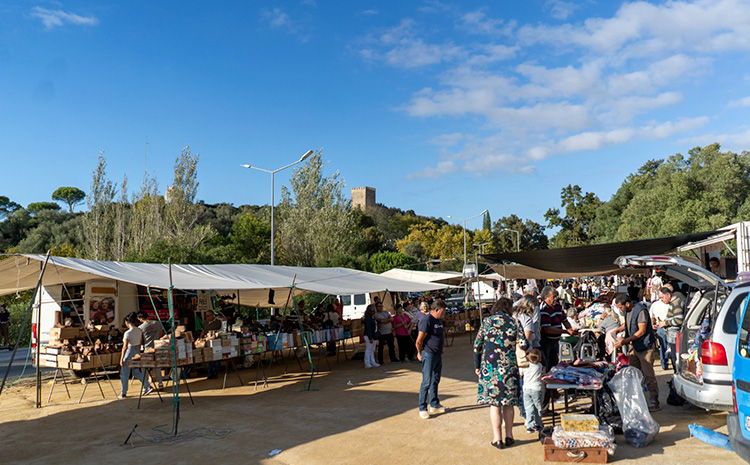 Feira Anual de Santa Iria